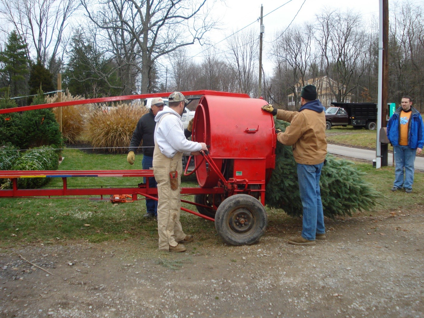 Services Kalie's Christmas Tree Farm Shickshinny PA 18655